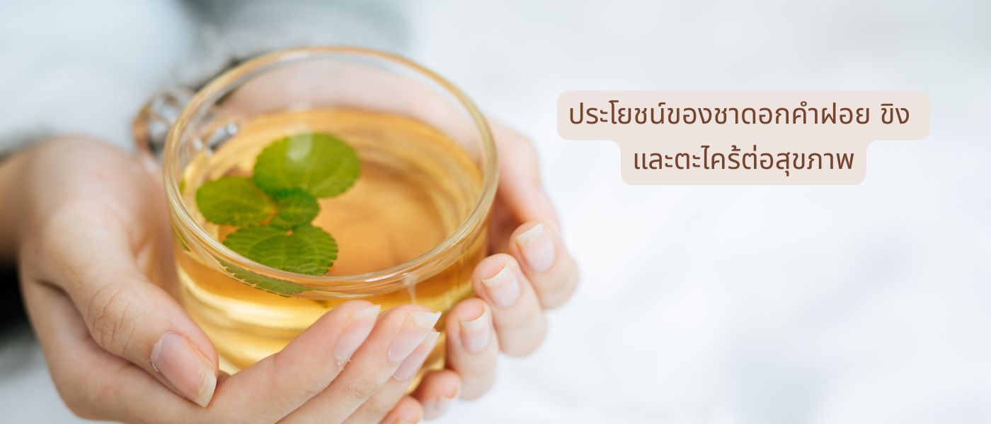 ประโยชน์ของชาดอกคำฝอย ขิง และตะไคร้ต่อสุขภาพ