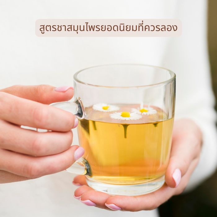 สูตรชาสมุนไพรยอดนิยมที่ควรลอง