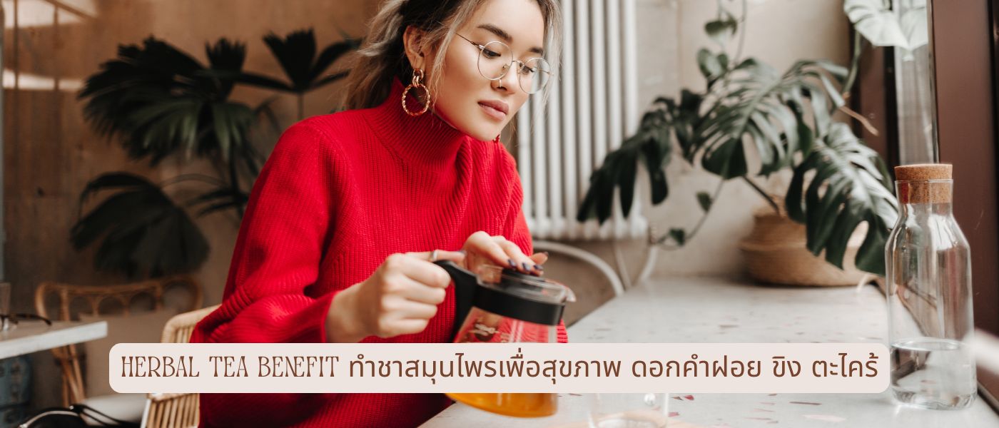 Herbal Tea Benefit – ทําชาสมุนไพรเพื่อสุขภาพ ดอกคำฝอย ขิง ตะไคร้